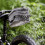 KLICKFIX Sacoche de Selle Contour Waterproof