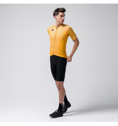 GOBIK 2025 Dandelion Stark men's short sleeve cycling jersey