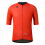 GOBIK maillot vélo manches courtes homme Stark BOYNTON 2025