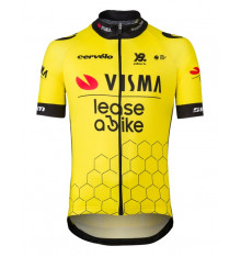 TEAM VISMA-LEASE A BIKE junior's short-sleeved cycling jersey 2025