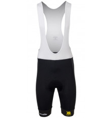 TEAM VISMA-LEASE A BIKE Replica bib shorts 2025