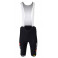 TEAM VISMA-LEASE A BIKE Premium Aero bib shorts 2025