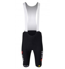 TEAM VISMA-LEASE A BIKE Premium Aero bib shorts 2025