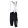 TEAM VISMA-LEASE A BIKE Premium Aero bib shorts 2025