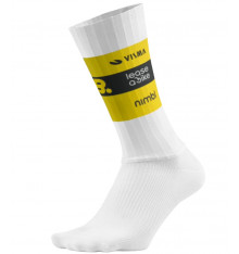 TEAM VISMA-LEASE A BIKE cycling socks 2025