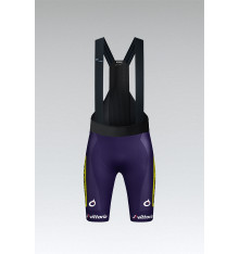 WILLIER VITTORIA Absolute Print bib shorts 2025
