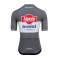 ALPECIN-DECEUNINCK gray men's short-sleeved jersey - 2025