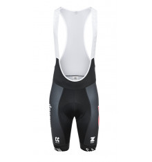 ALPECIN-DECEUNINCK gray men's bib shorts - 2025