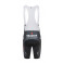 ALPECIN-DECEUNINCK gray men's bib shorts - 2025