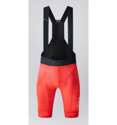 GOBIK Absolute Print Glyph bib shorts - 2025