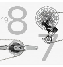 SRAM 1987 PM T-TYPE AXS Q174 CL55 DUB WIDE 32DTS 170 10/52 Limited Edition group