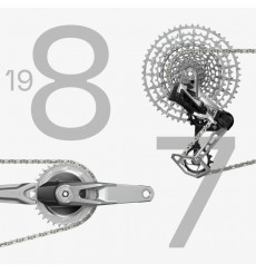 SRAM 1987 PM T-TYPE AXS Q174 CL55 DUB WIDE 32DTS 170 10/52 Limited Edition group