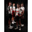 UAE TEAM EMIRATES - XRG Replica bib shorts 2026