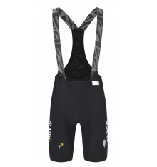Q36.5 Gregarius Pro bib shorts - 2026
