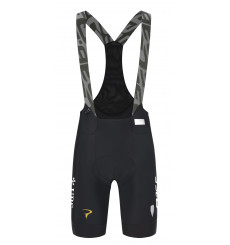 Q36.5 Gregarius Pro bib shorts - 2026