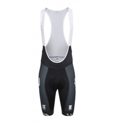ALPECIN&ndash;PREMIER TECH bib shorts - 2026