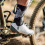 SOX FOOTWEAR X BLack Crew Cycling Socks