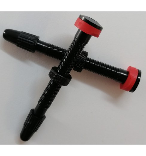 Kit de 2 valves tubeless ROVAL - 50 mm de long pour roues C38
