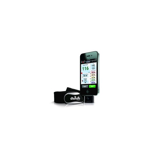 WAHOO COURSE À PIED/FITNESS PACK CARDIO : CLÉ ANT+ CEINTURE CARDIO POUR  IPHONE CYCLES ET SPORTS