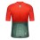 GOBIK Carrera unisex short sleeve cycling jersey 2021