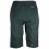 SCOTT Trail Storm INSULOFT All Season men's cycling short 2022
