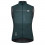 GOBIK Plus 2.0 men's cycling vest 2021