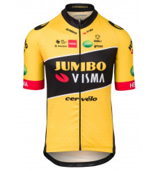 TEAM JUMBO VISMA Replica men's short sleeves jersey 2022