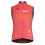 GOBIK Plus 2.0 men's cycling vest 2022