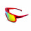 BJORKA 2023 EVO cycling sunglasses