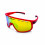 BJORKA 2023 EVO cycling sunglasses