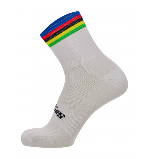 SANTINI chaussettes vélo Champion du Monde