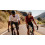 SPECIALIZED maillot vélo manches courtes homme SL Race Logo