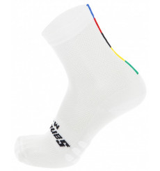 Santini UCI World Champion cycling socks 2023