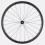 Roval Alpinist CL II road bike wheel - Rear