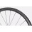 Roval Alpinist CL II road bike wheel - Rear