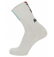 TREK SEGAFREDO Fan line summer cycling socks 2023