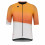 GOBIK 2023 Attitude 2.0 Muskmelon men's short sleeve cycling jersey
