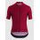 ASSOS MILLE GT C2 EVO men's cycling jersey