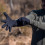 BBB Gants Hiver Neoshield