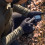 BBB Gants Hiver Neoshield