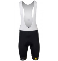 TEAM VISMA-LEASE A BIKE Replica bib shorts 2025
