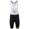 TEAM VISMA-LEASE A BIKE Replica bib shorts 2025