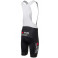 TEAM VISMA-LEASE A BIKE Replica bib shorts 2025