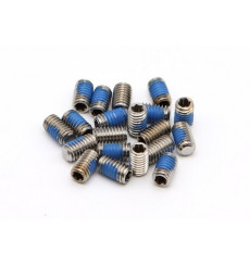Pinarello Seatpost x6 Bolt Kit Torx - Silver