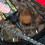 MUC-OFF Lubrifiant Chaine DRY LUBE CONDITIONS SÈCHES