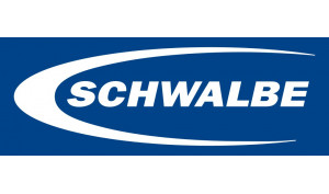 SCHWALBE